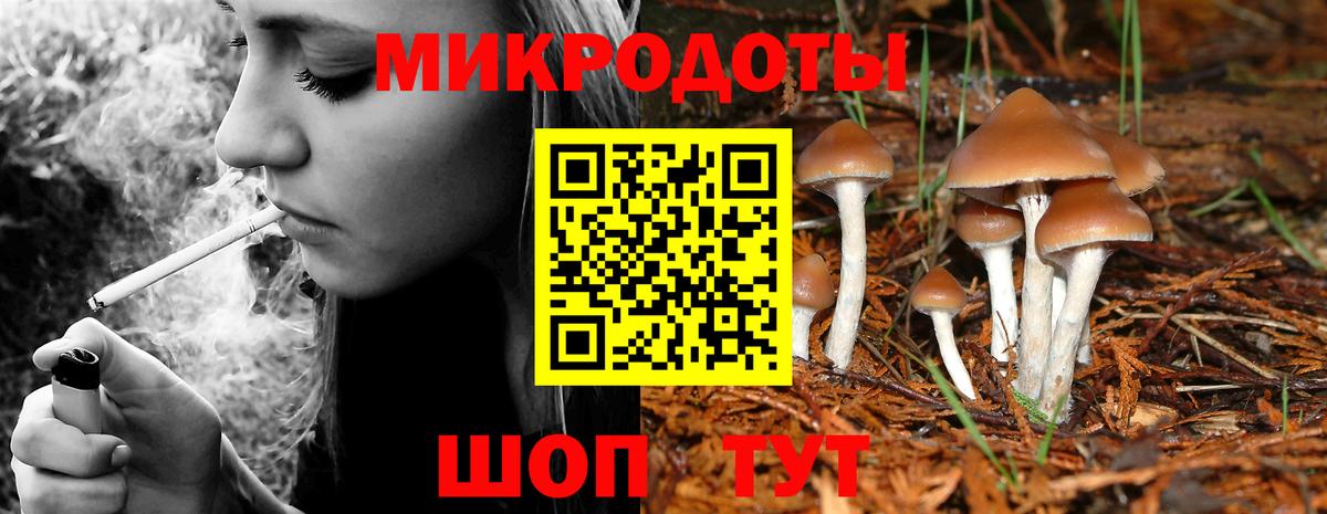 Искитим  Псилоцибиновые грибы MAGIC MUSHROOMS  Псилоцибиновые грибы Magic Shrooms  Вход с VPN 