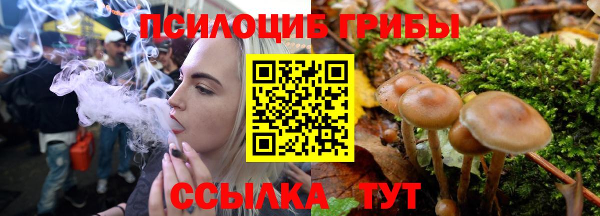Галлюциногенные грибы ЛСД Искитим